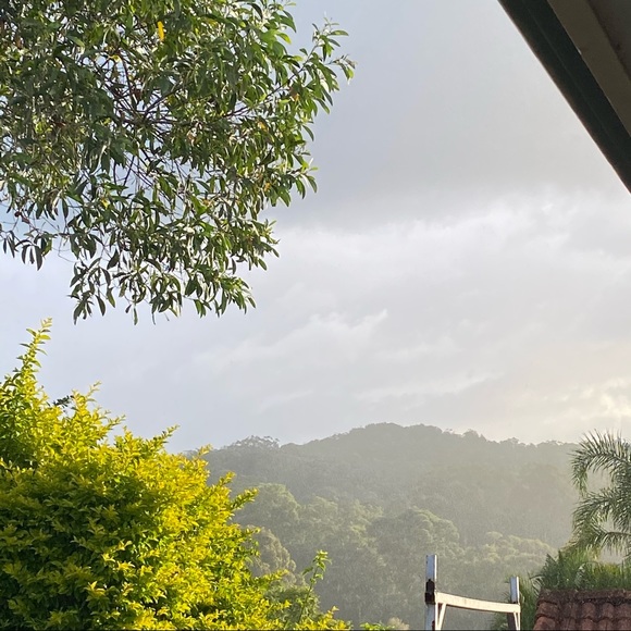 Meet your Posher, Ava - Picture 1 of 1